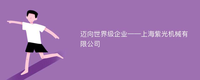 迈向世界级企业——上海紫光机械有限公司