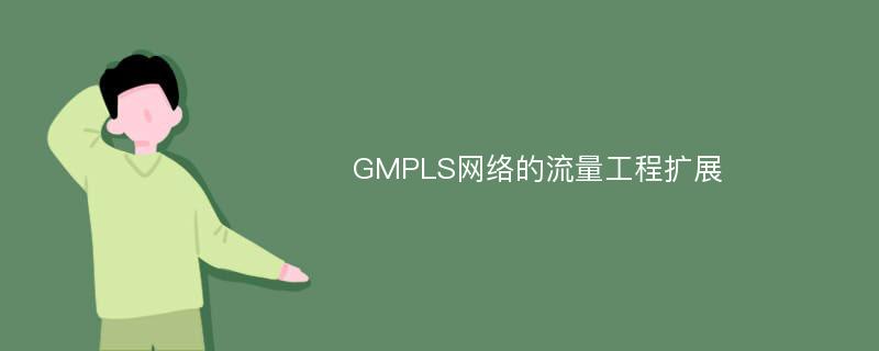 GMPLS网络的流量工程扩展