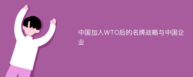 中国加入WTO后的名牌战略与中国企业