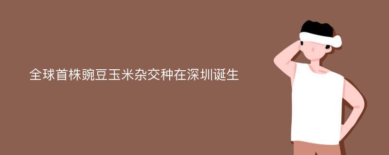 全球首株豌豆玉米杂交种在深圳诞生